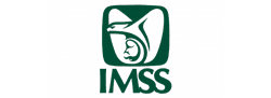 Descubre cómo agregar la addenda IMSS Servicios a tus facturas electrónicas CFDI fácilmente